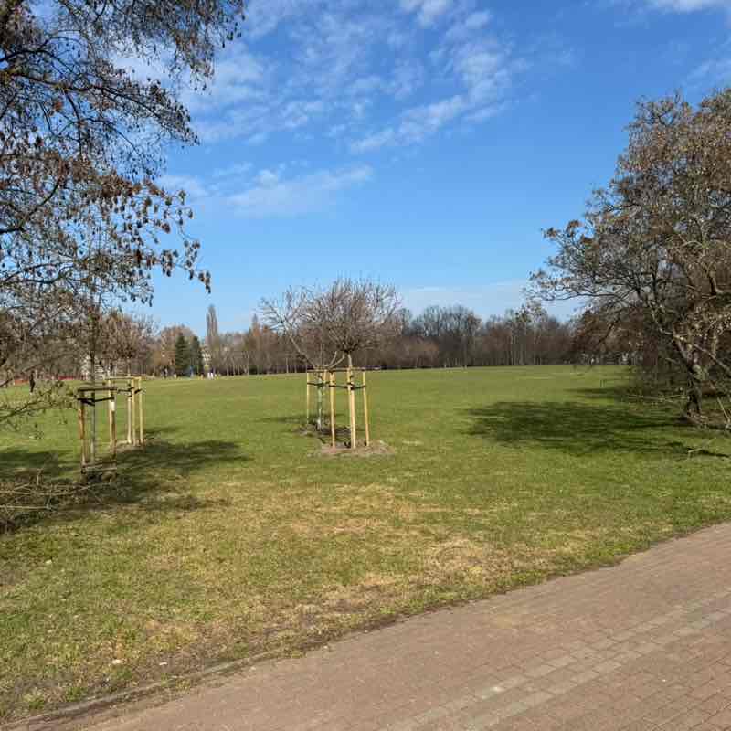 Samir 🇯🇴 🇵🇱 post 1