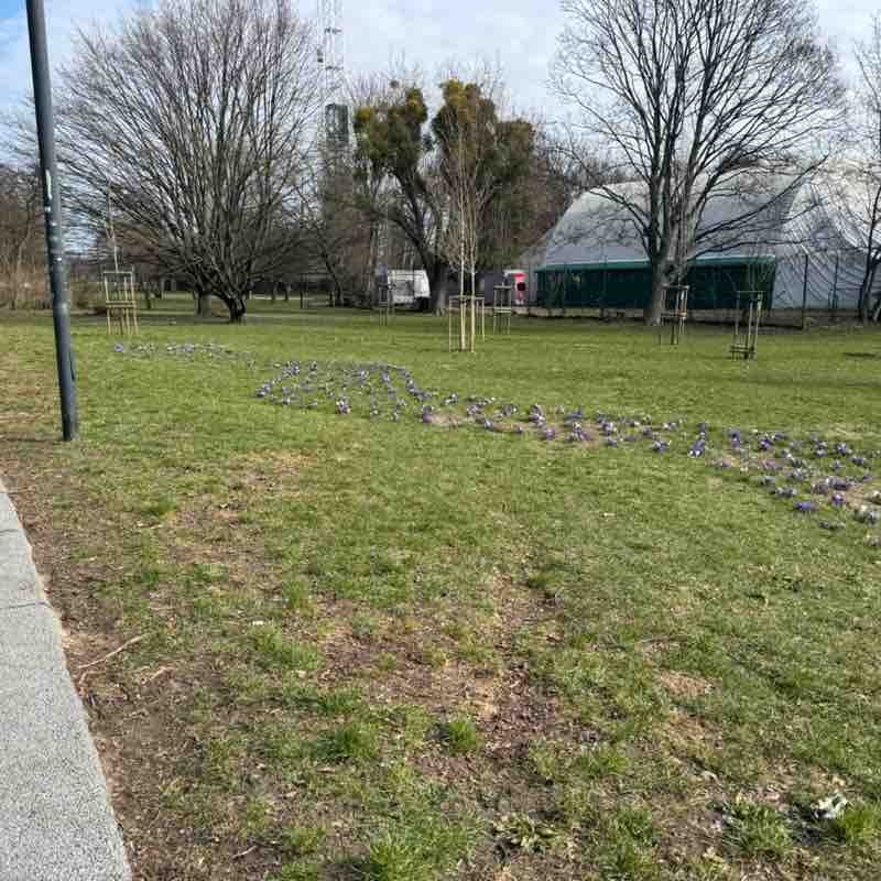 Samir 🇯🇴 🇵🇱 post 2