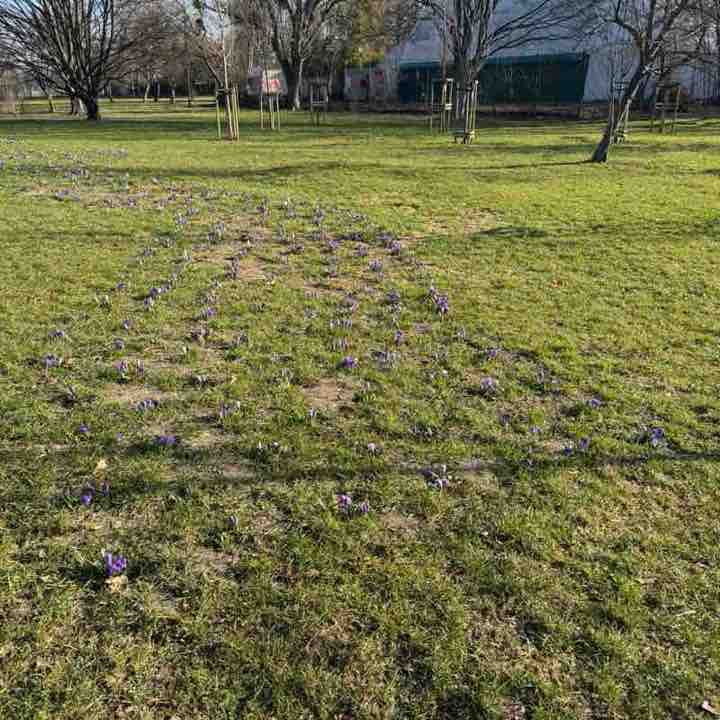 Samir 🇯🇴 🇵🇱 post 1