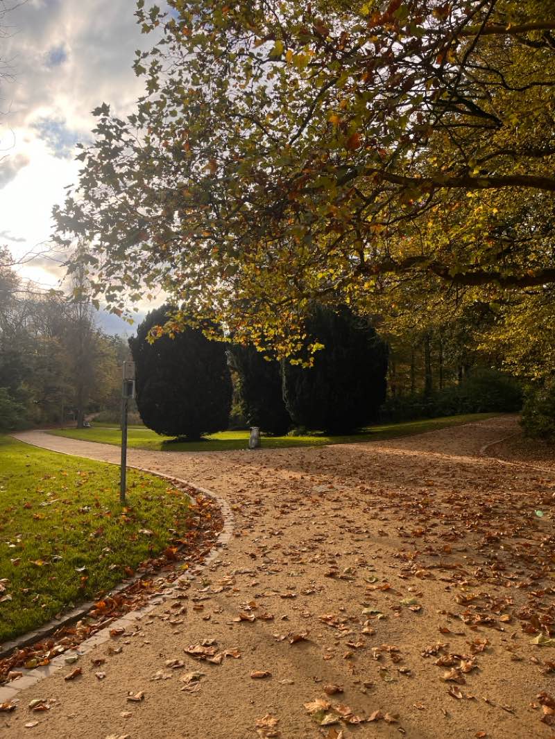 walking near me in Parc Astrid - Astridpark in winter