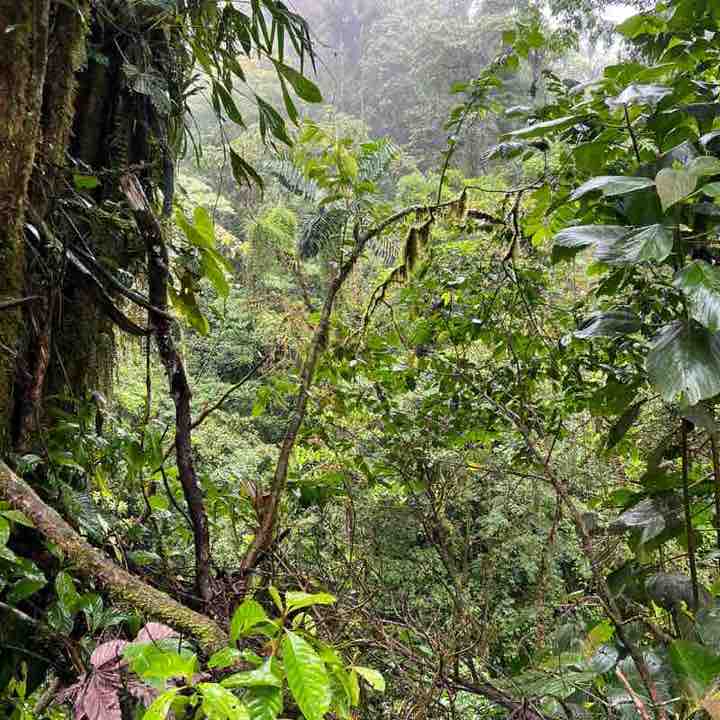 Jean-christophe post 2