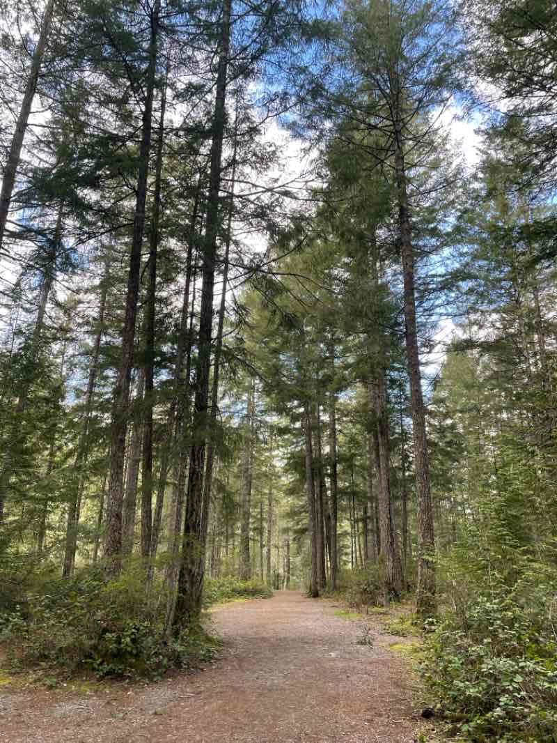 walking near me in Cedar Vale Park in winter