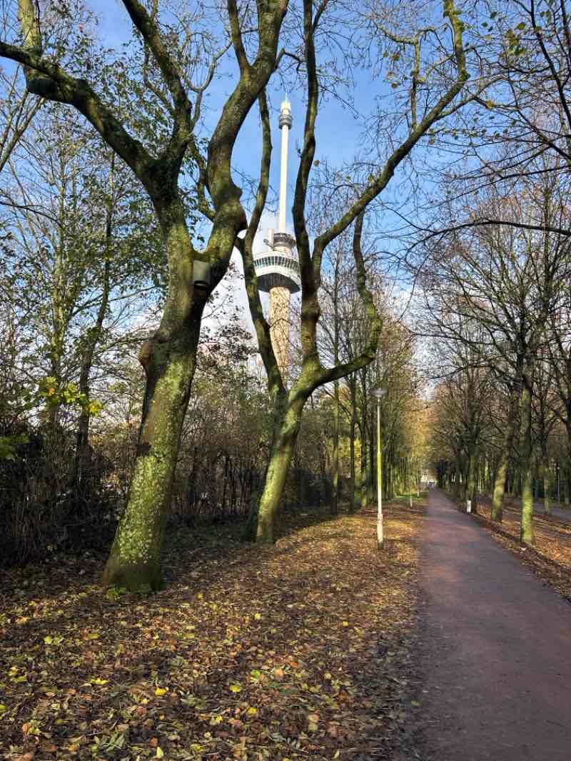 walking near me in Het Park in autumn