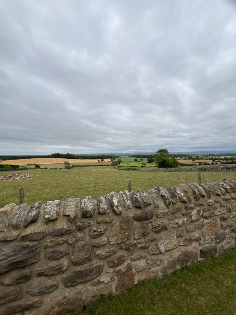 walking near me in The Bowes Museum in summer