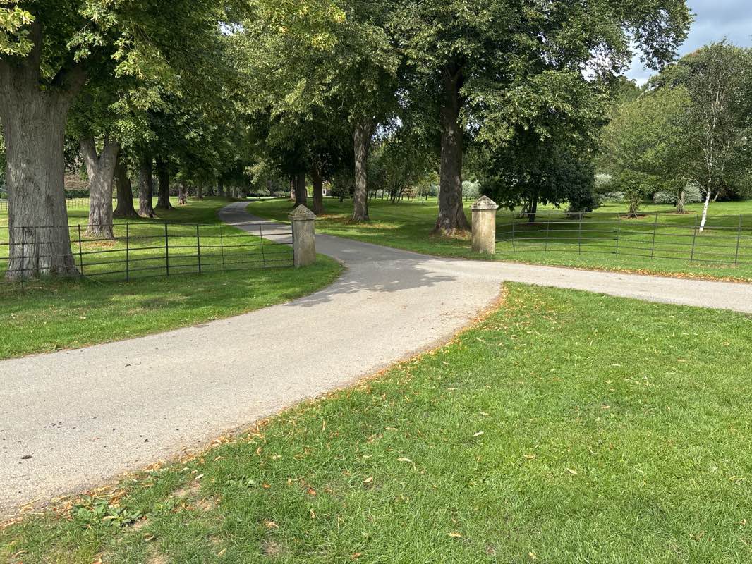 walking near me in Denes Park in autumn