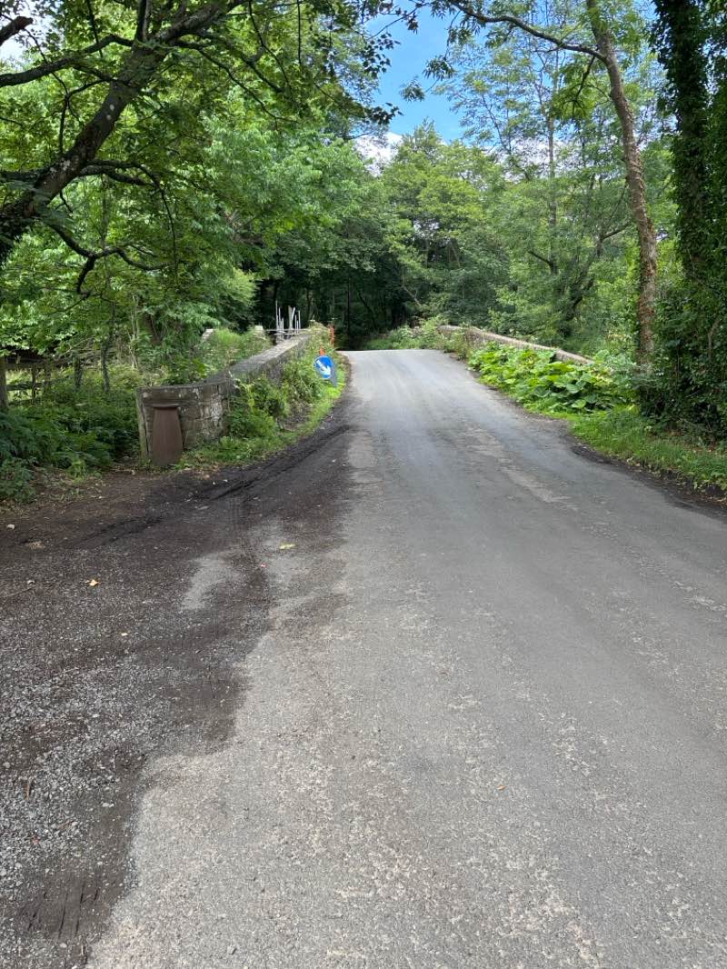 walking near me in Barnard Castle Grounds in summer