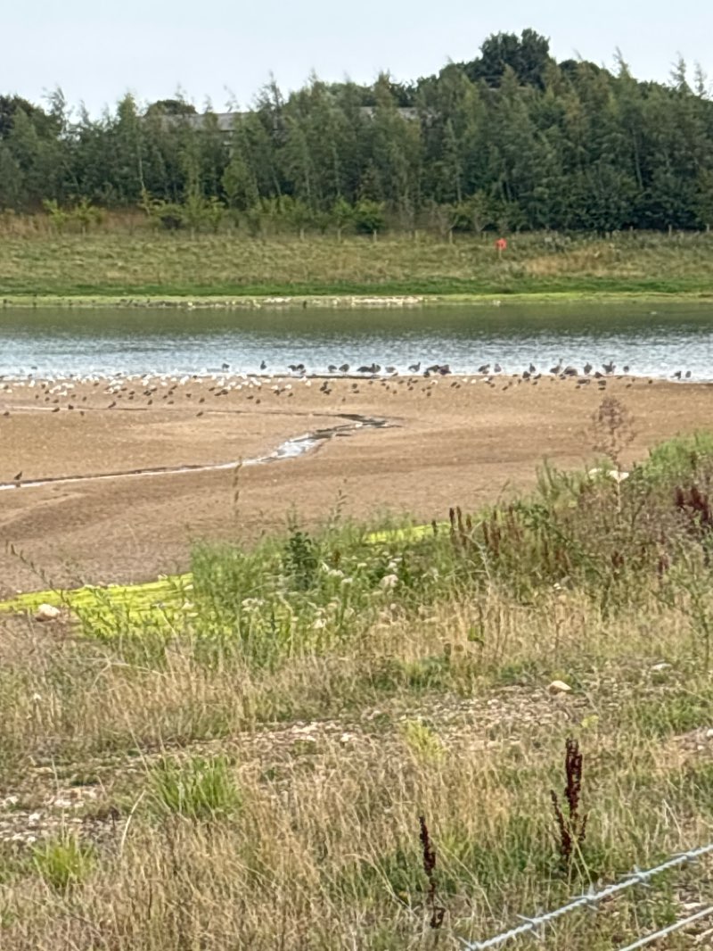 walking near me in Nature area in autumn