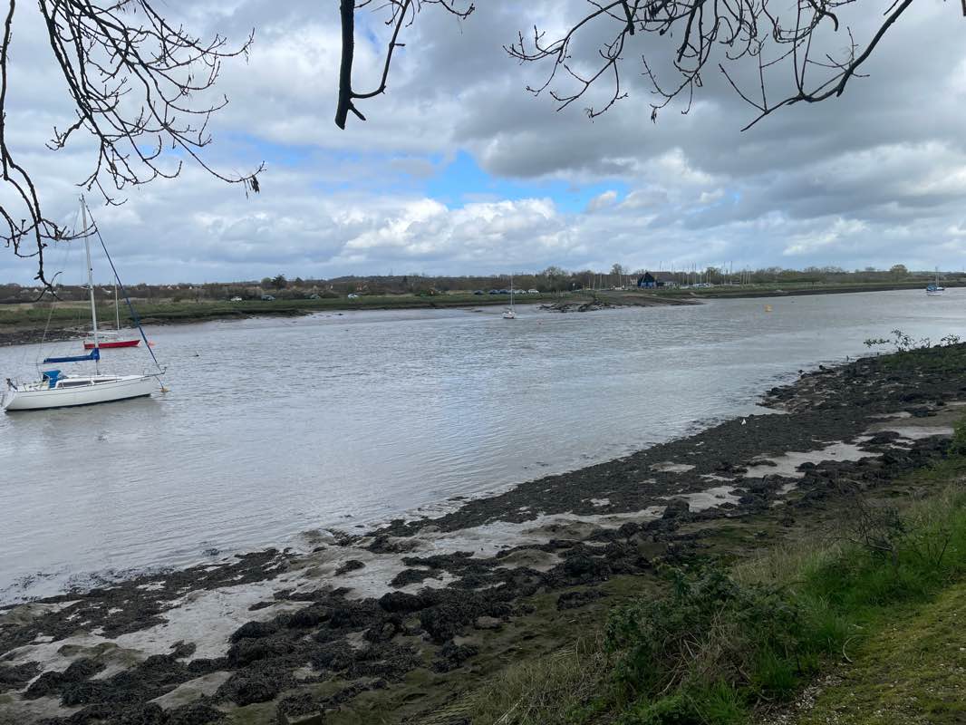 walking near me in King George V Playing Field in winter