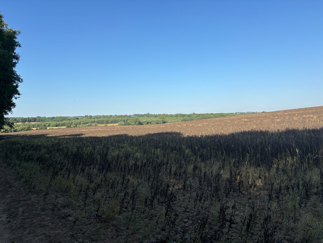 walking near me in Oakwood Park in summer