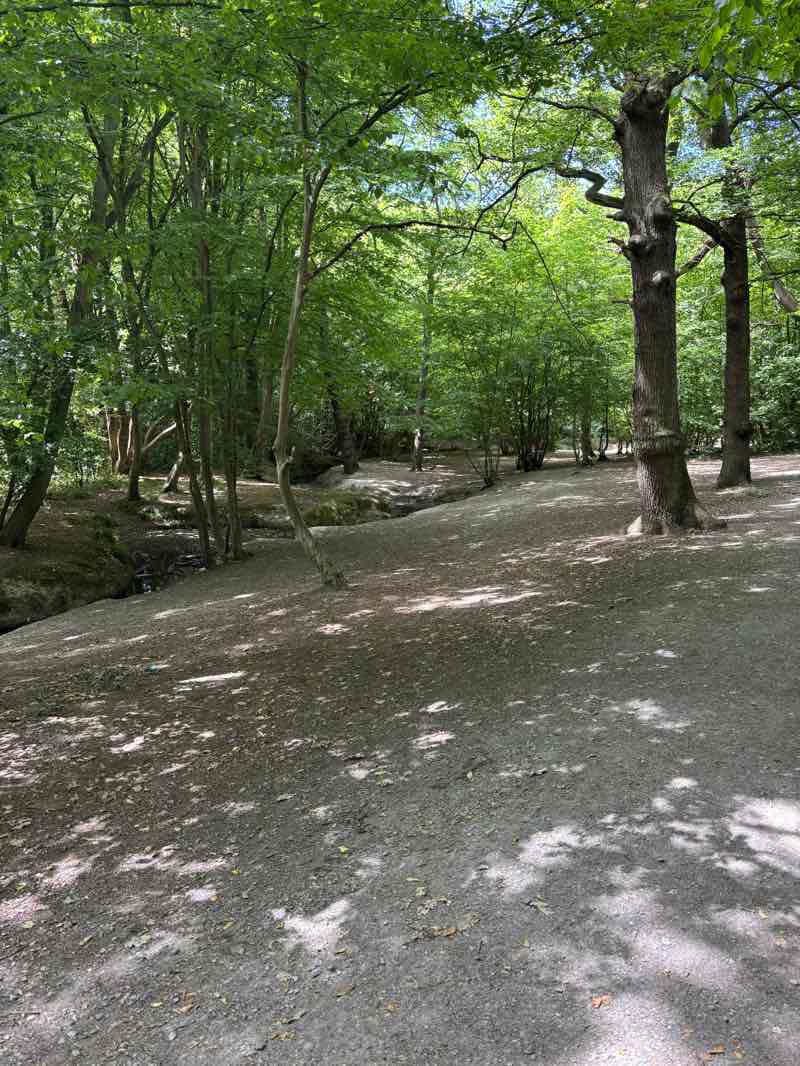 walking near me in Woodlands Avenue Open Space in summer