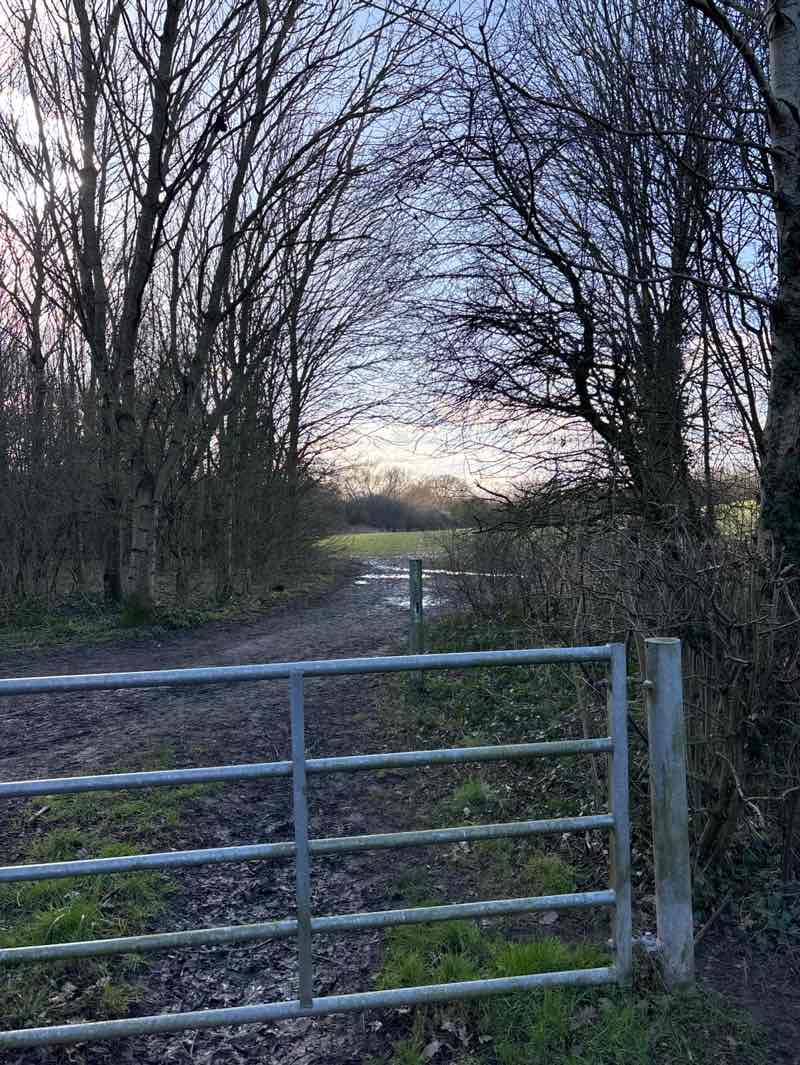 walking near me in Sweyne Park in spring