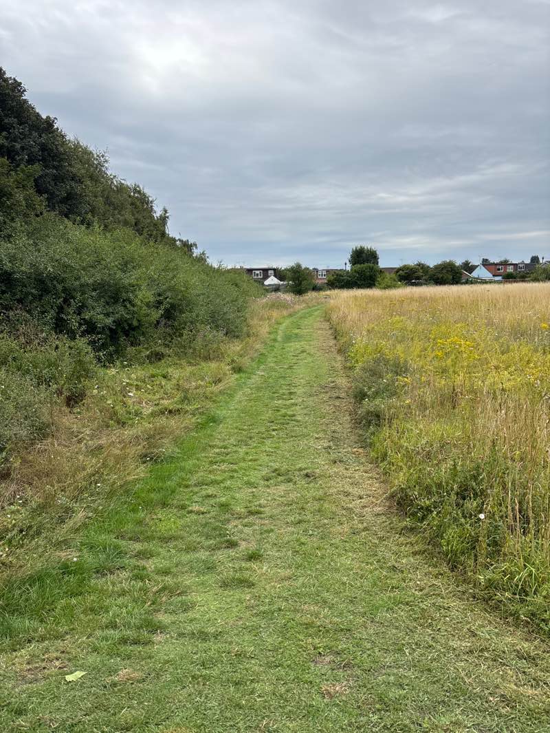 walking near me in St. Laurence Park in autumn