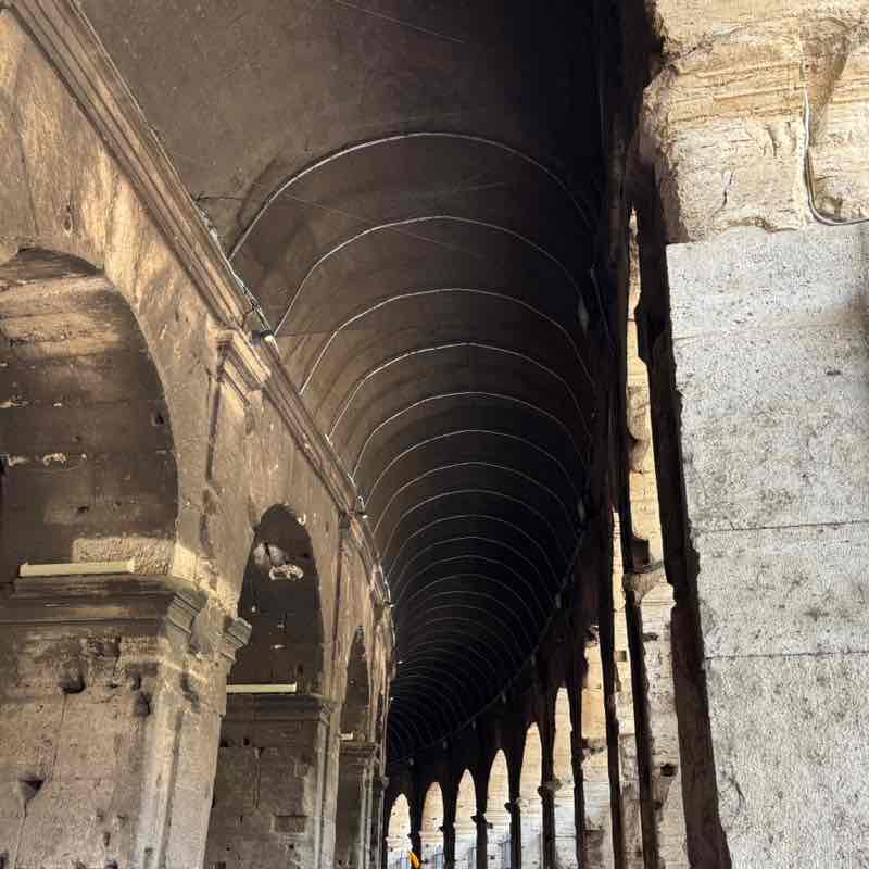 The Year Around Walker’s Robedson ♉️ post image