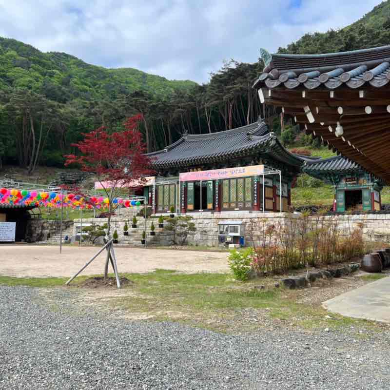 Hooni🚶🏽‍♂️🏕 post 2