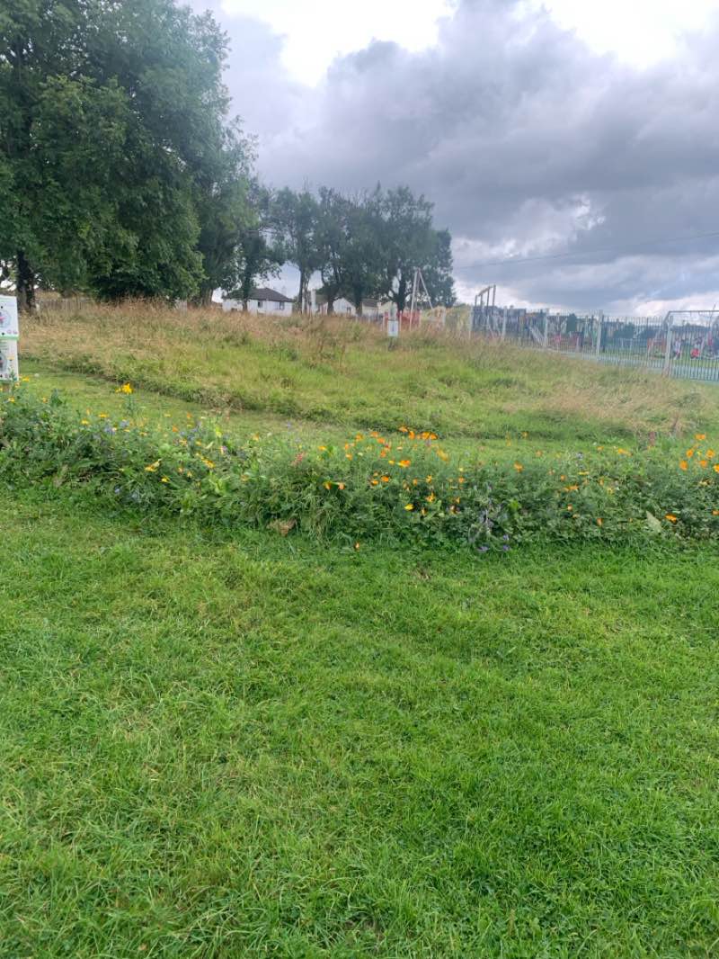 walking near me in McGraths Field in summer