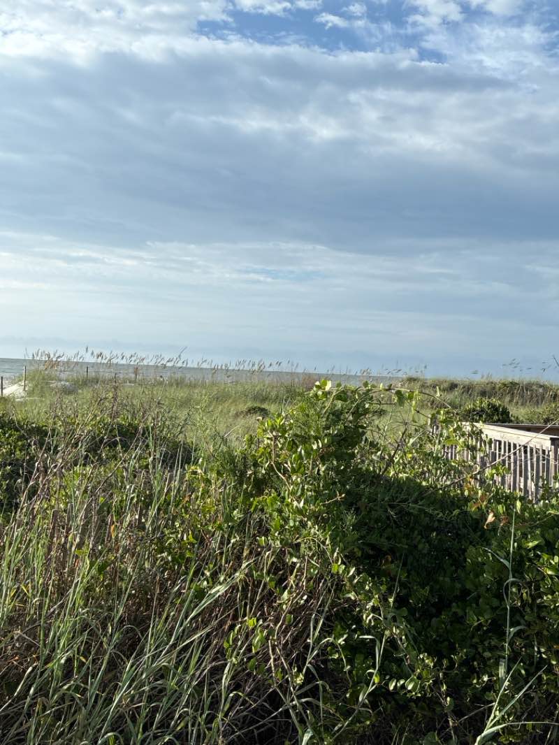 walking near me in Myrtle Beach State Park in autumn