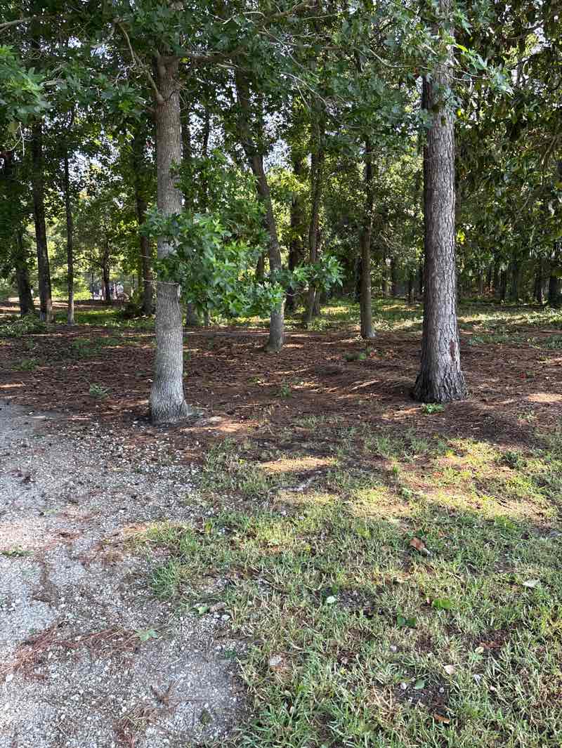 walking near me in Barc Park South in summer