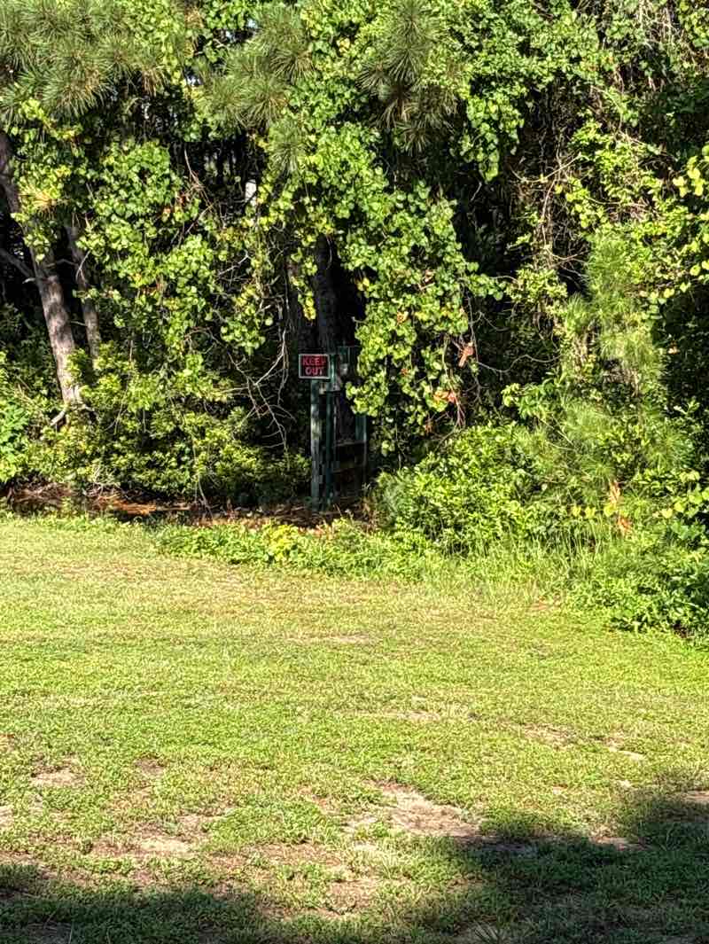 walking near me in Virginia Marshall Park in summer