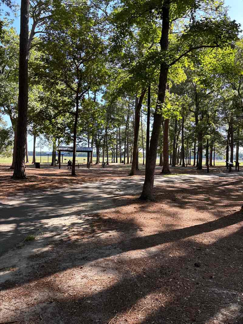walking near me in Warbird Park in autumn