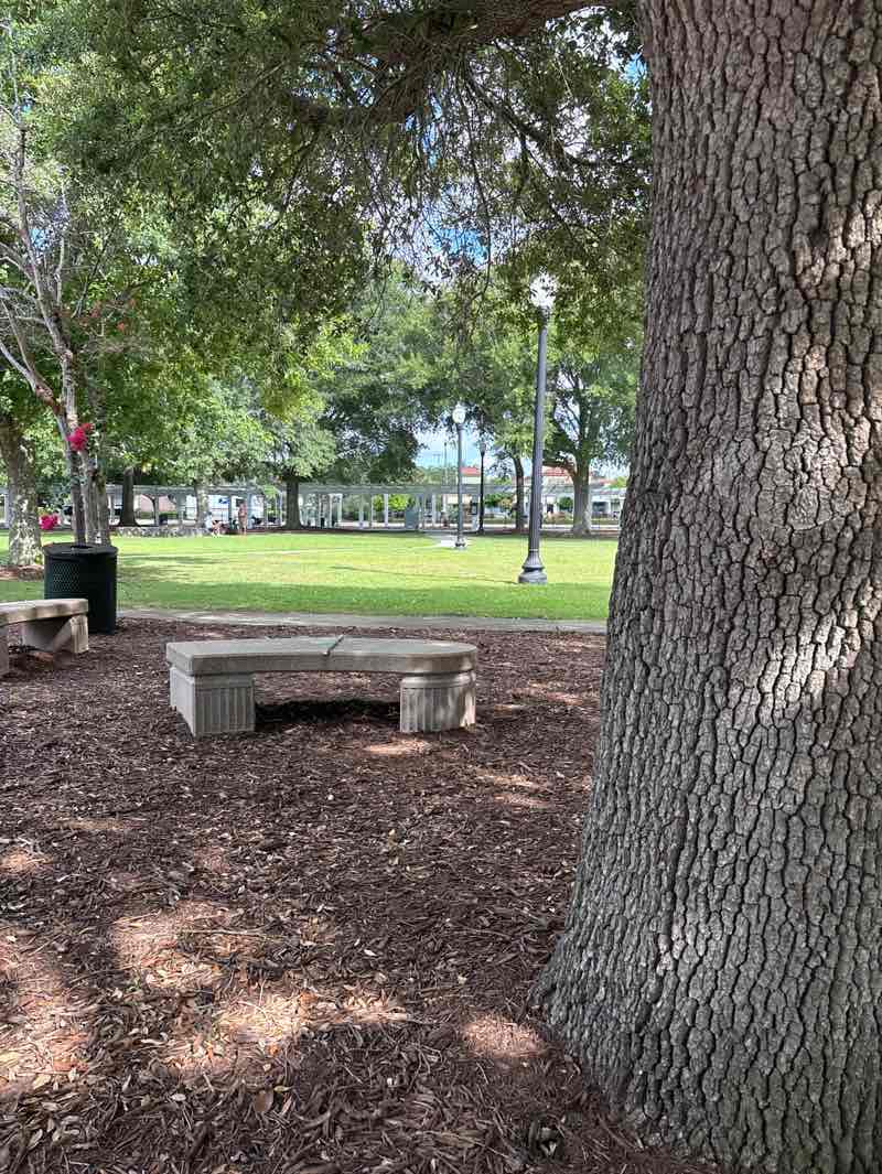 walking near me in Chapin Park in summer