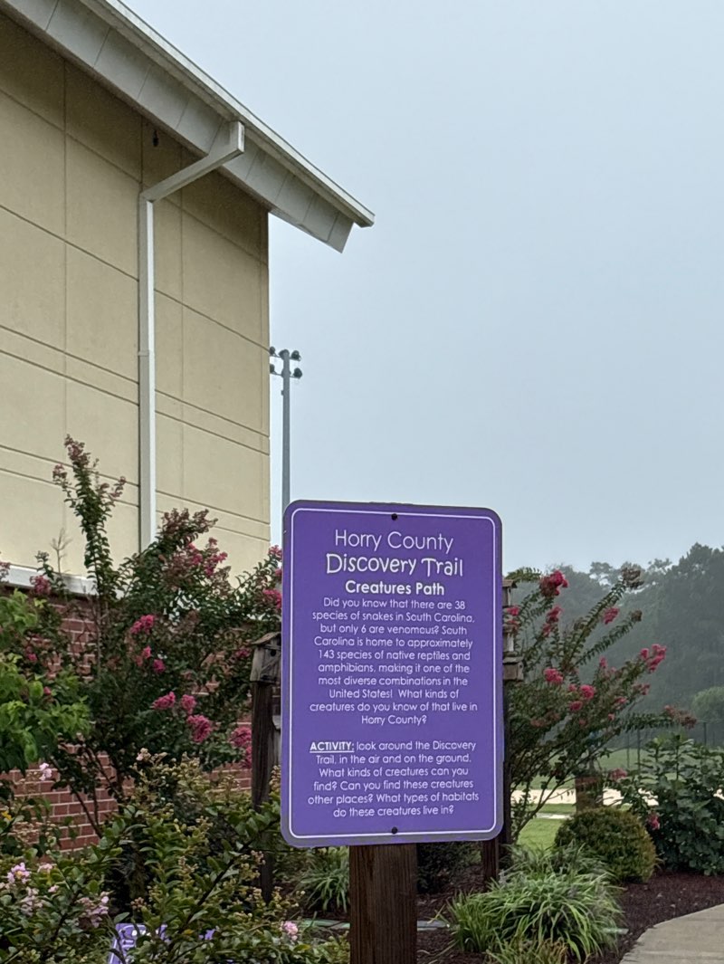 walking near me in South Strand Park in autumn