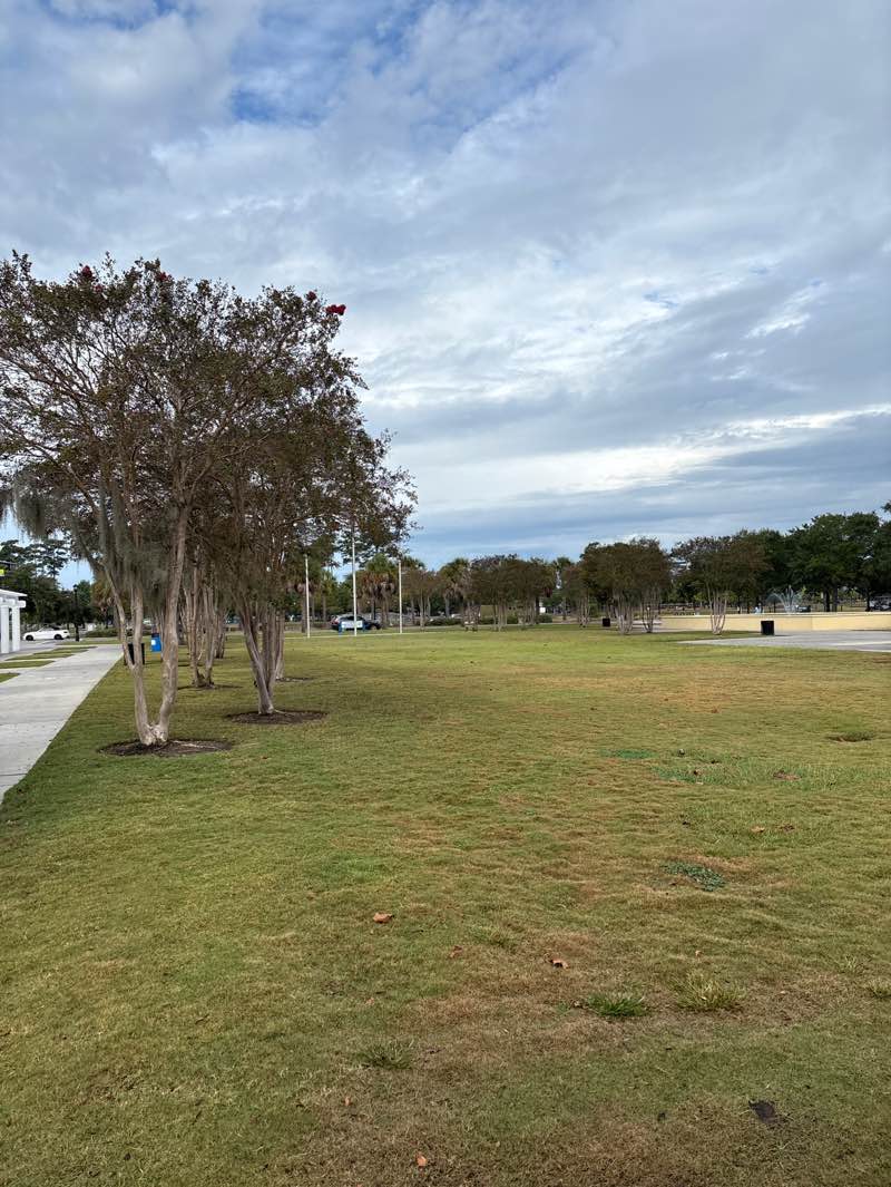 walking near me in Valor Memorial Garden in autumn