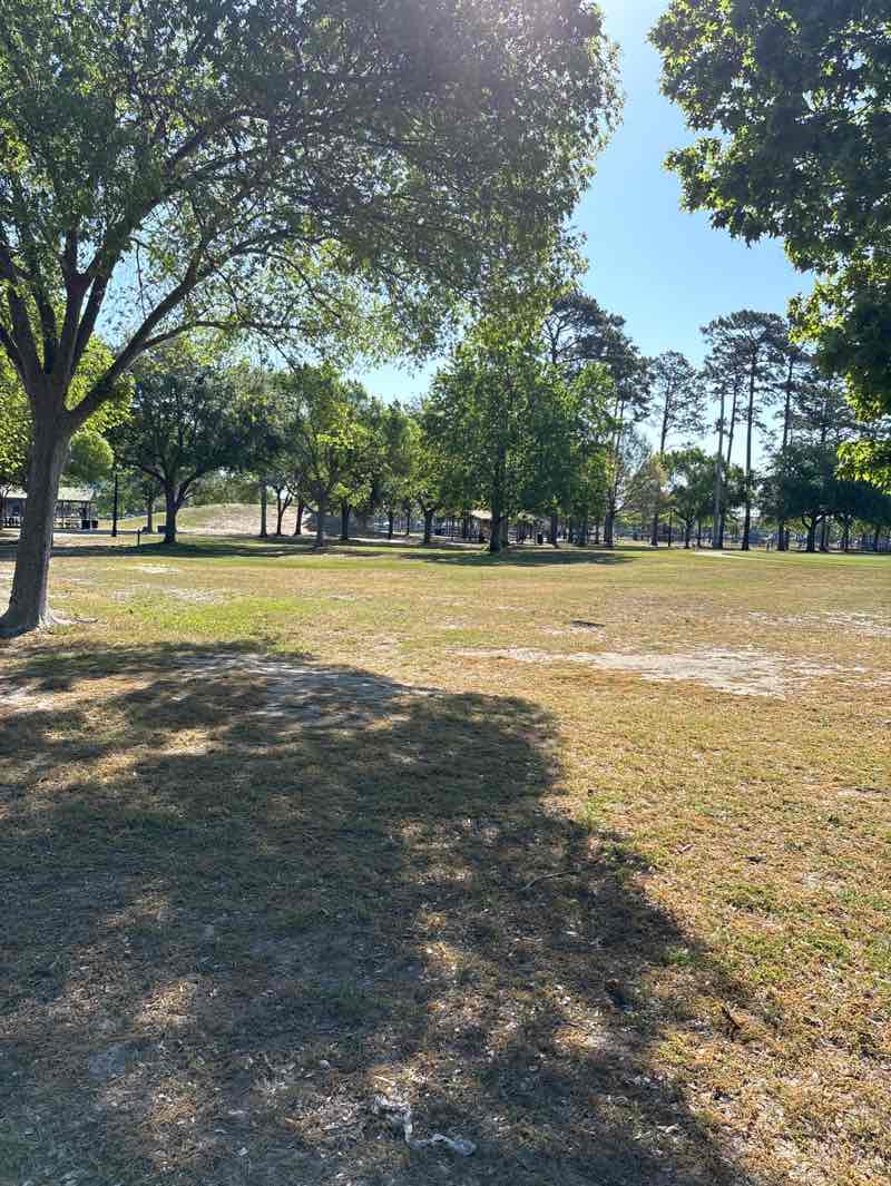 walking near me in Grand Park in spring