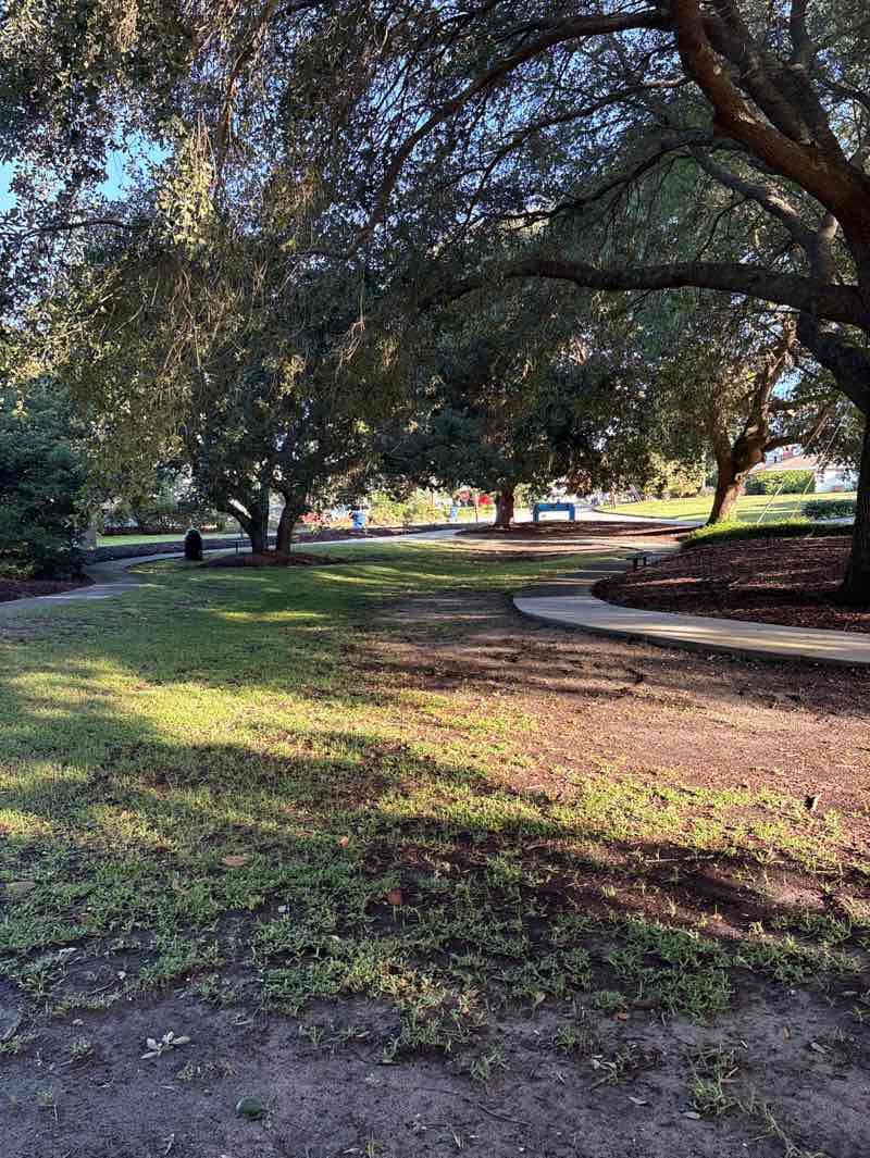 walking near me in Ocean Forest Memorial Park in autumn
