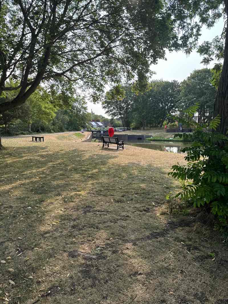 walking near me in Vines Park in summer