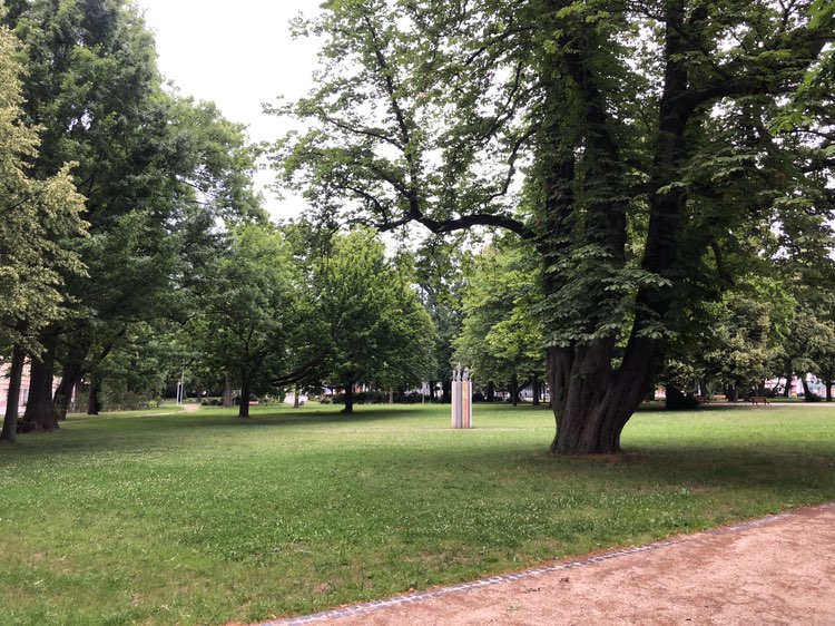 walking near me in Schillerplatz in summer