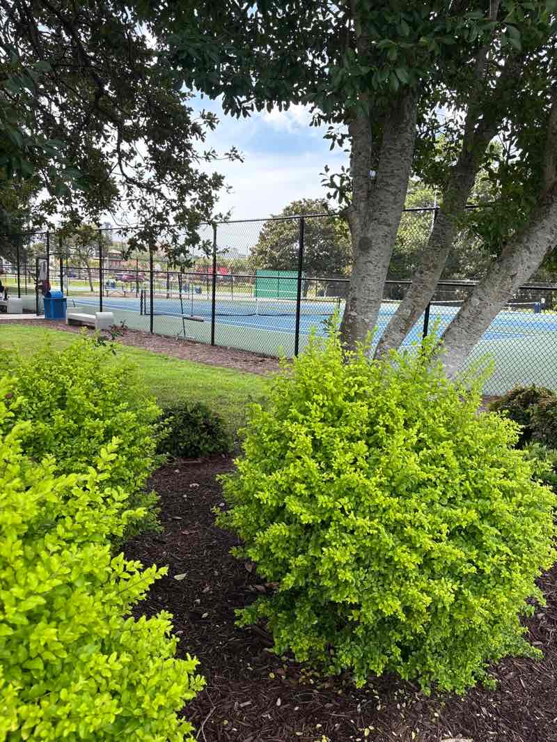 walking near me in Midway Park in autumn