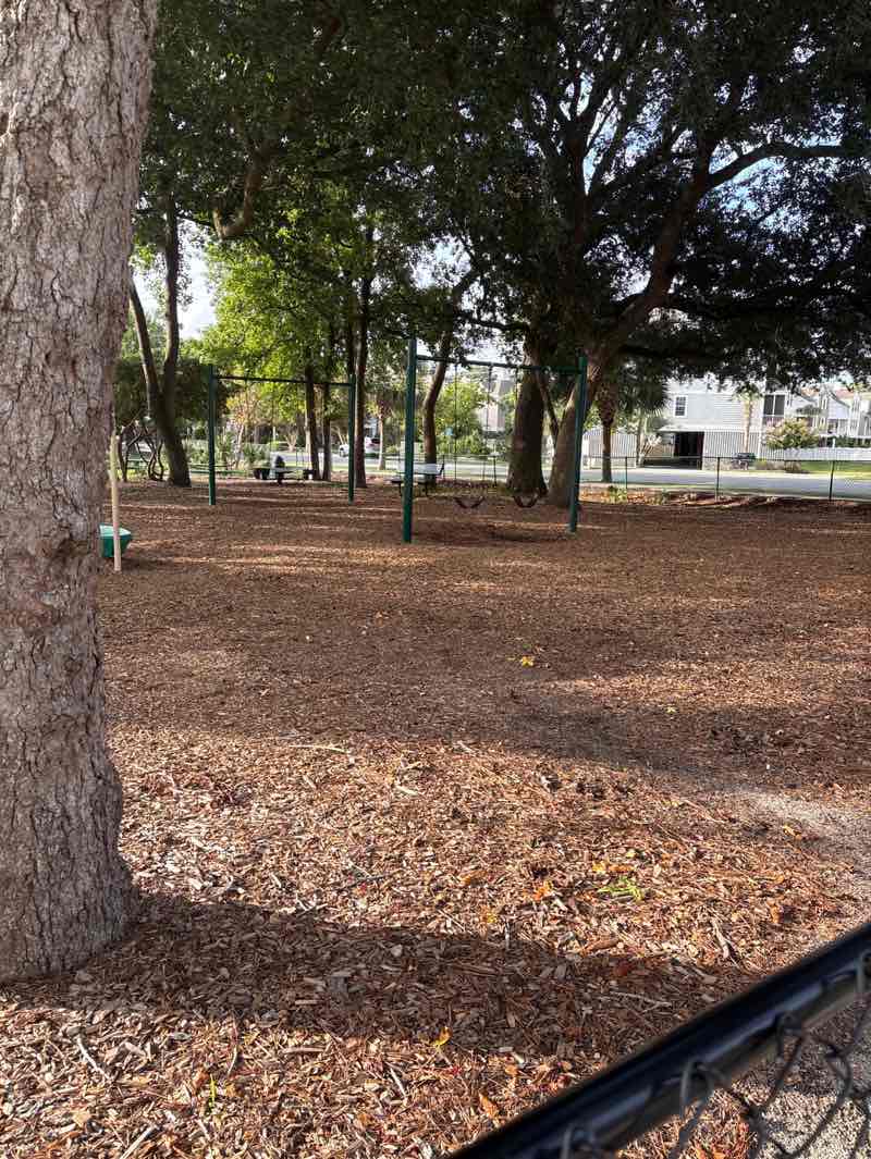 walking near me in Fuller Park in autumn