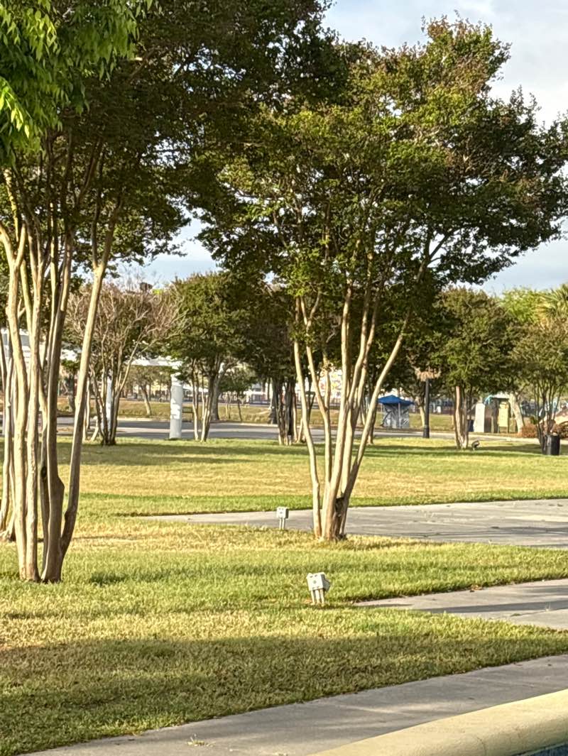 walking near me in Valor Memorial Garden in spring