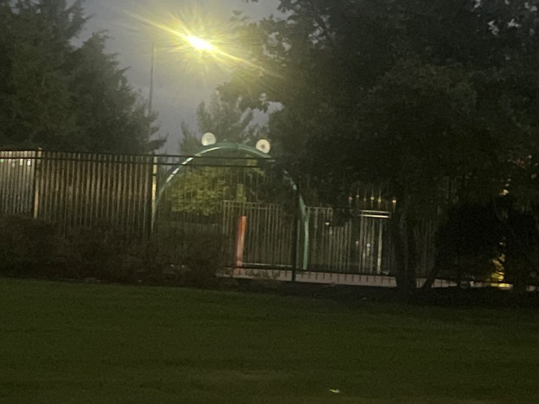 walking near me in Forest view park in autumn