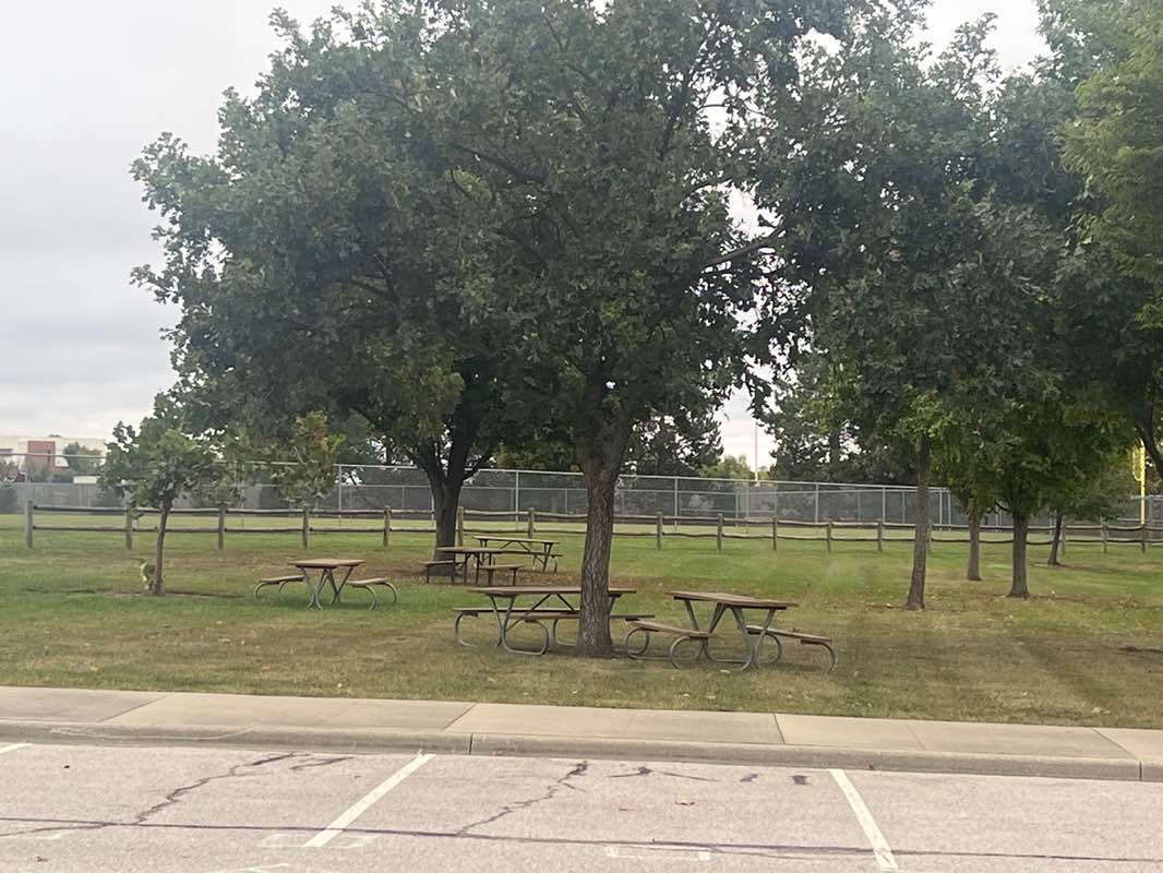 walking near me in Freedom Fields in autumn