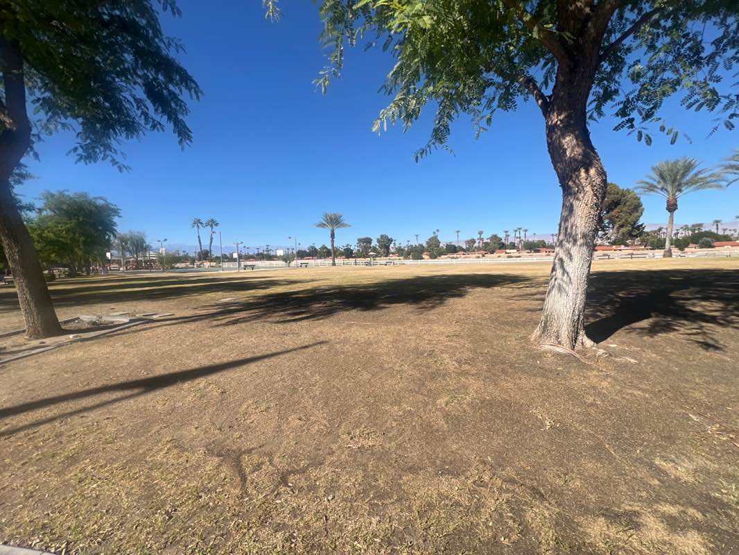 walking near me in Rancho Mirage Community Park in autumn