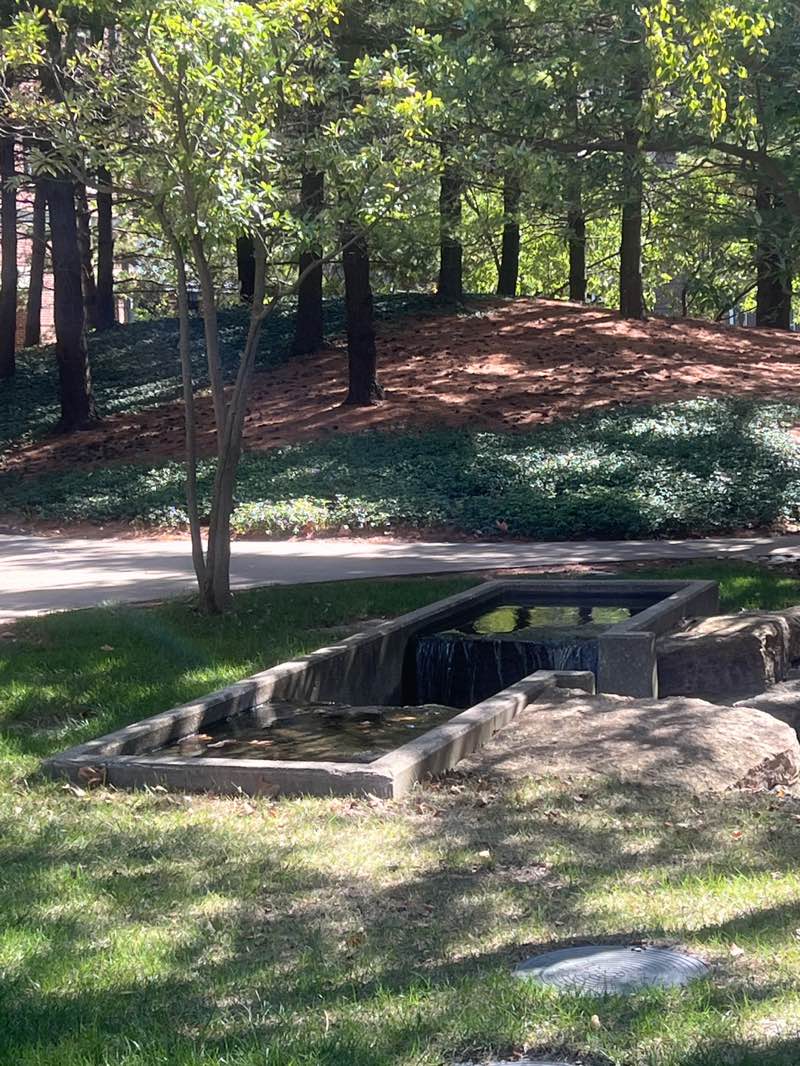 walking near me in Relaxation Courtyard in autumn