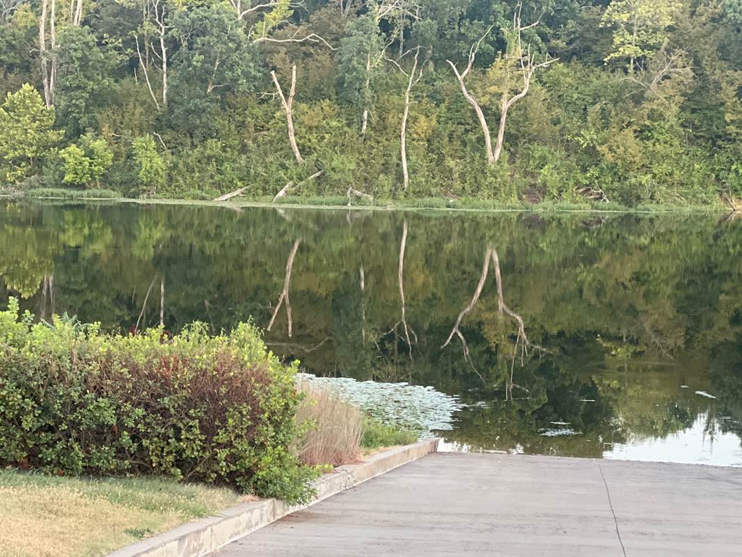 walking near me in Black Hoof Park in autumn