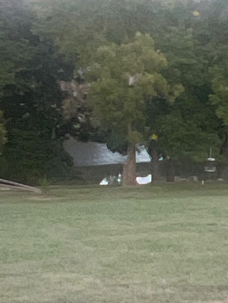 walking near me in North Park in autumn