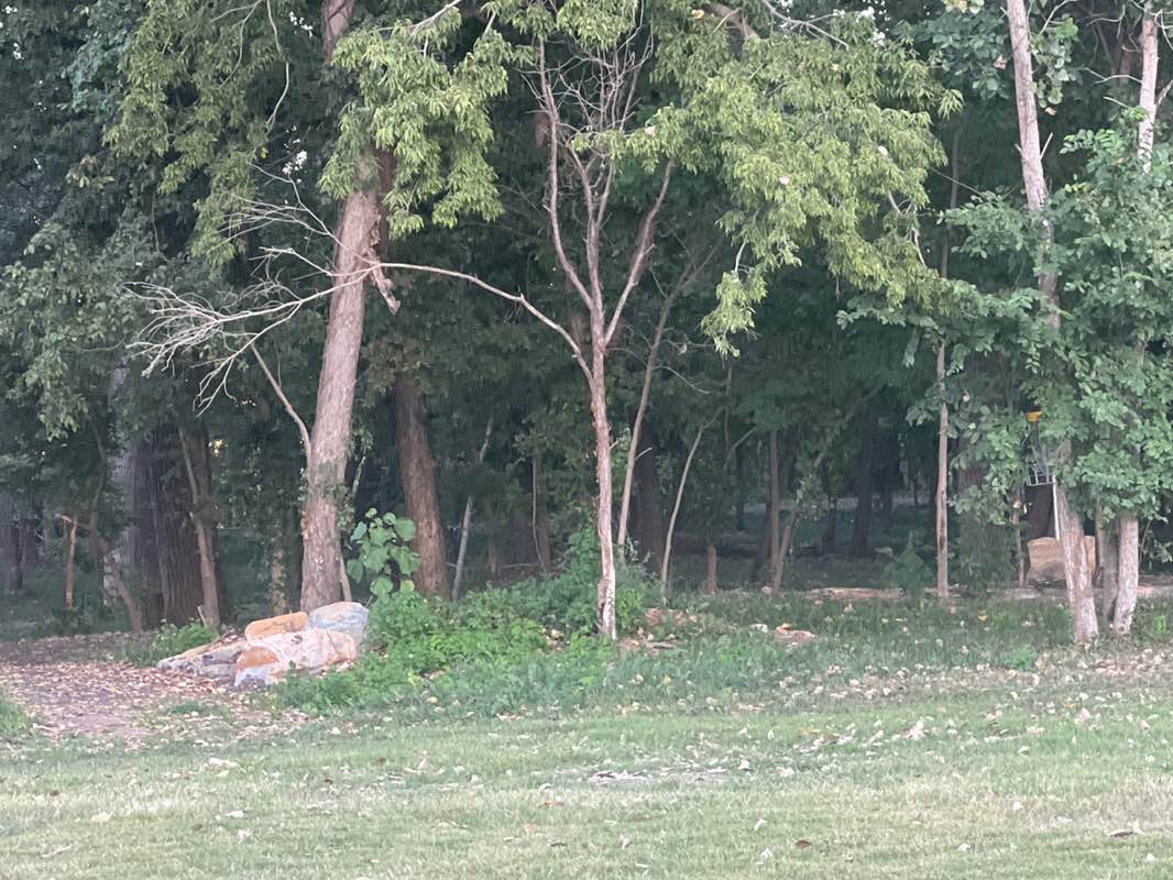 walking near me in Riverfest Park in autumn