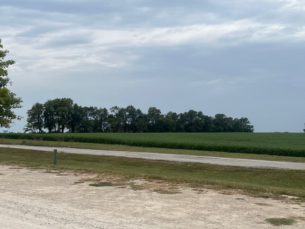 walking near me in Field of Dreams Athletic Complex in autumn