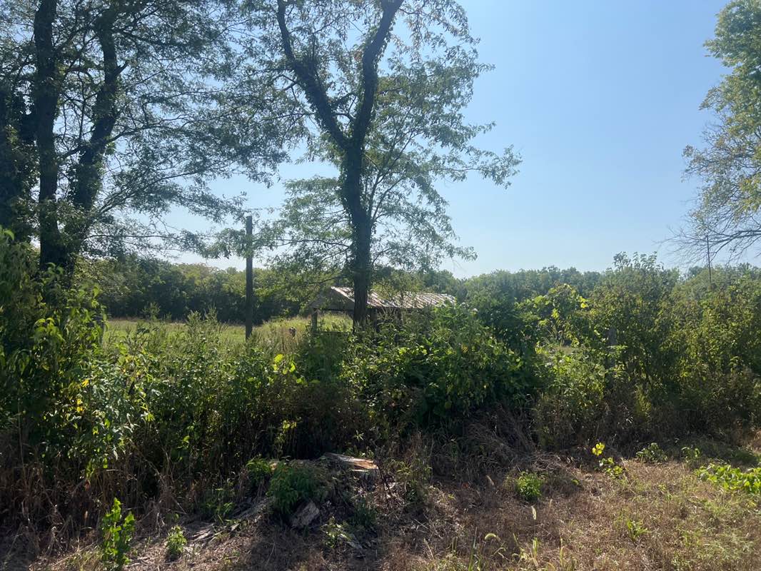 walking near me in De Soto Wilderness Park in autumn