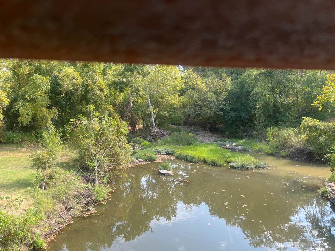 walking near me in Gamblin Park in autumn