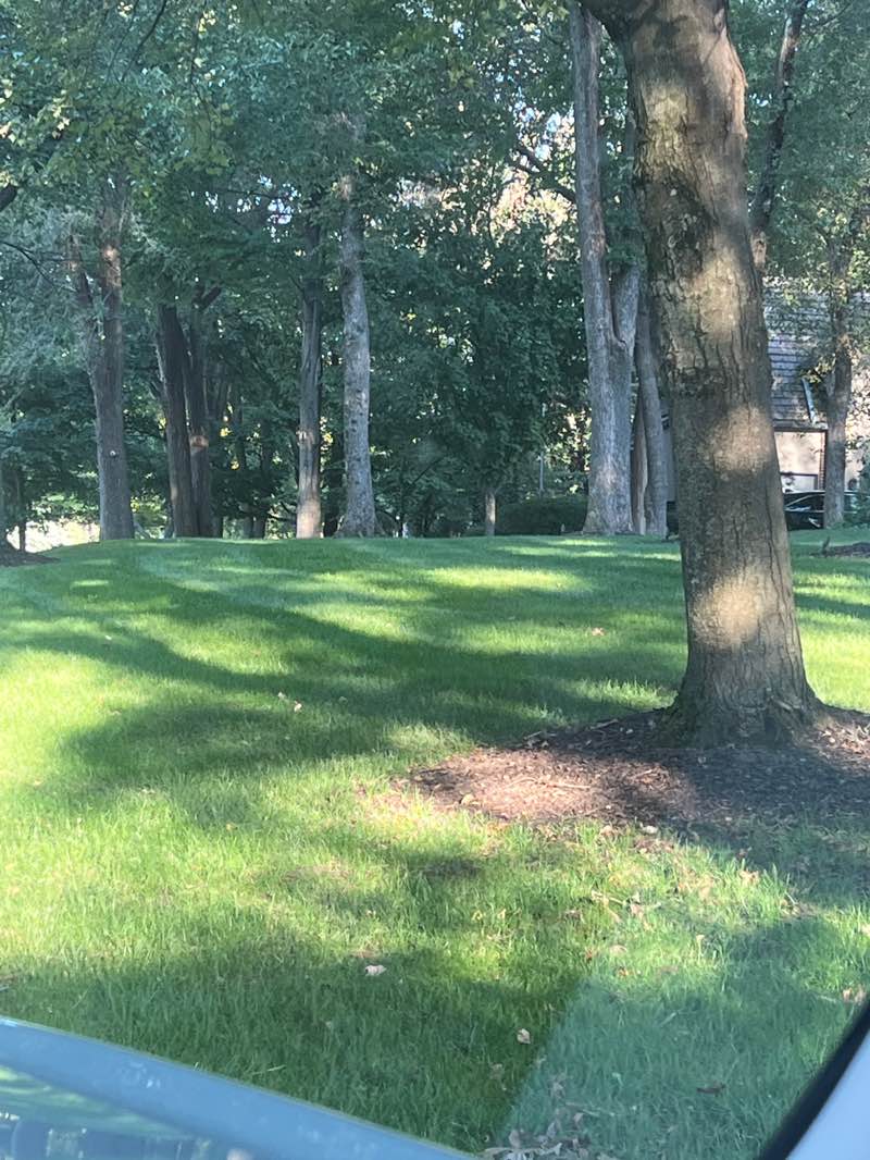 walking near me in Klapmeyer Park in autumn
