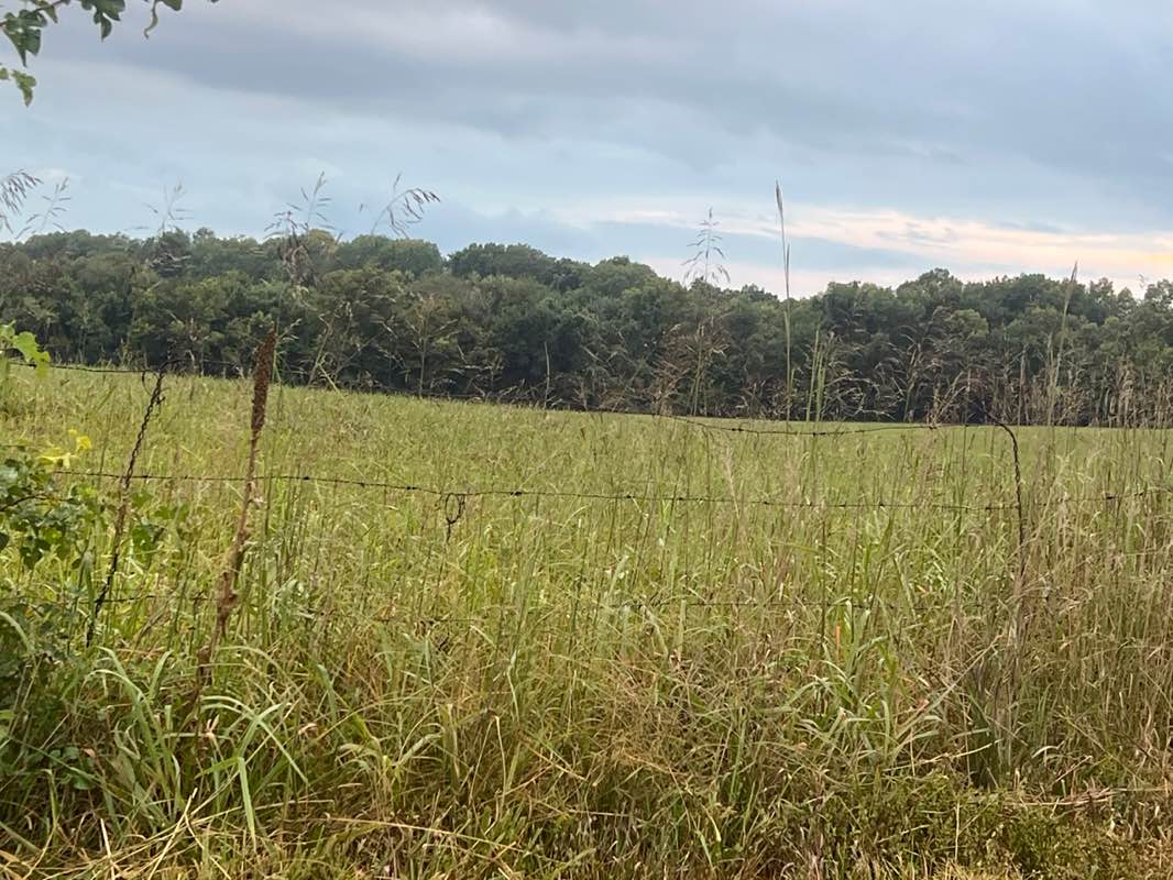 walking near me in Dorothy Akin Memorial Prairie in autumn