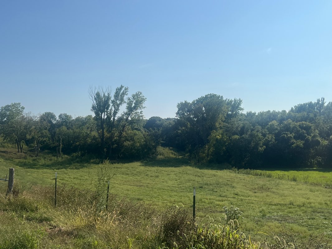 walking near me in Lost 80 Park in autumn