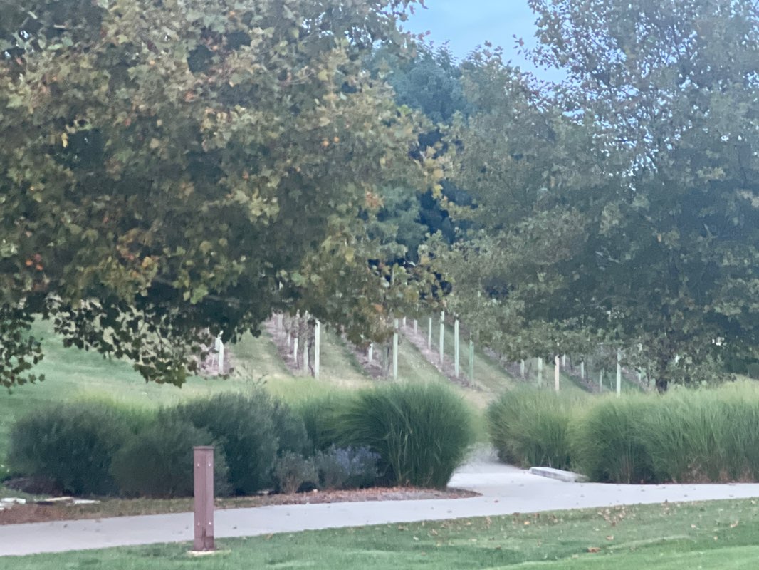 walking near me in Gezer Park in autumn