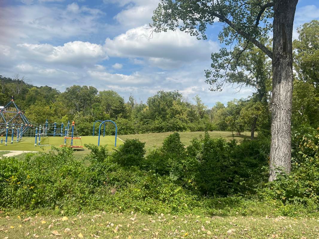 walking near me in Valley Park in autumn