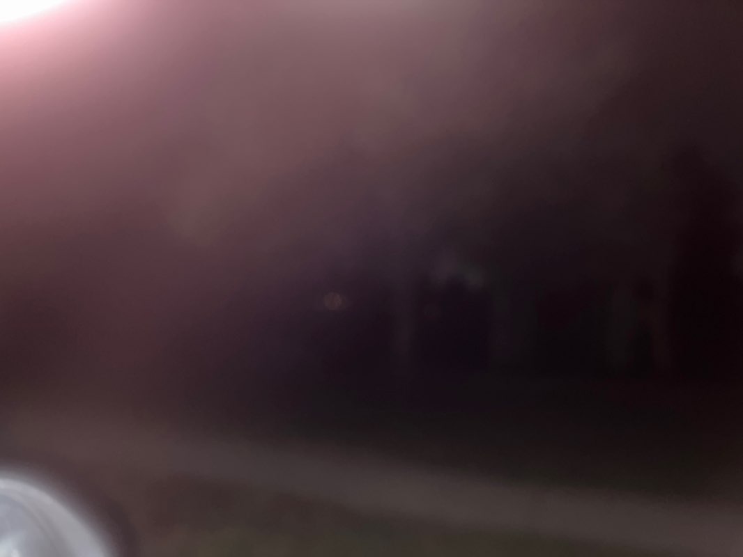 walking near me in Bluejacket Park in autumn