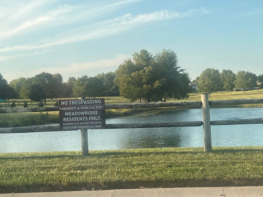 walking near me in Meadowridge Tree Preservation in autumn